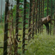 Illustration for article titled Everything You Missed in the emHunger Games/em Trailer: 40 Awesome Images!